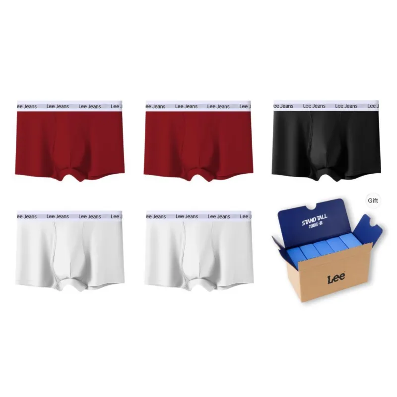 Lee Underpants Men's 5 Pack Gift Box Set-35