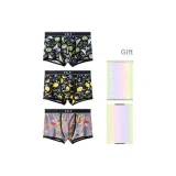 3 Pack (Kiwi+Lemon+Mixed Fruit)