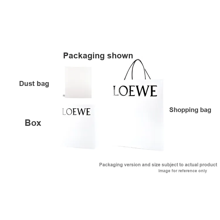 LOEWE Resin Chain Bag Strap Women's Clay Green-4