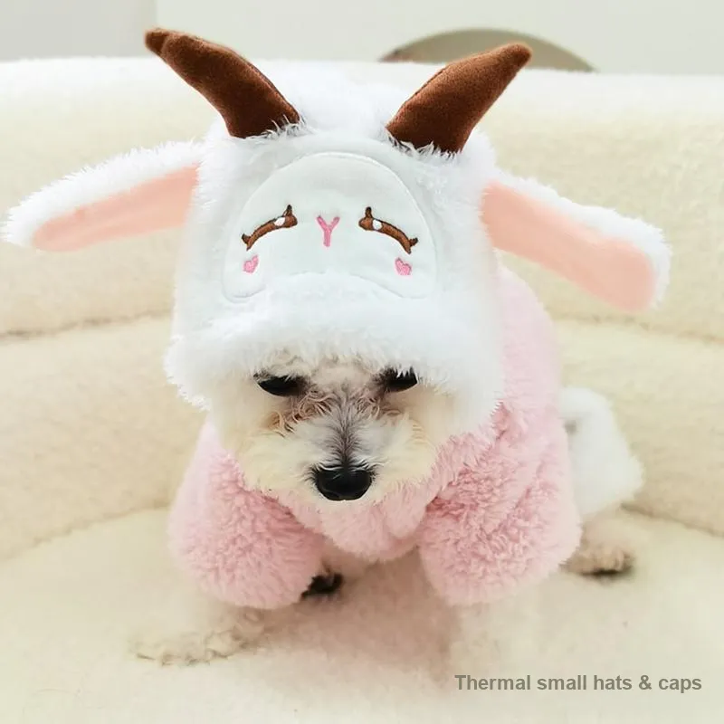Pampering Pet Clothing-18