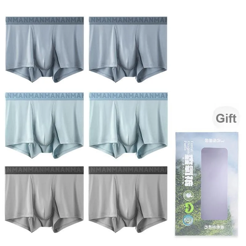 FARO Underpants Men's Gift Box Combination-59