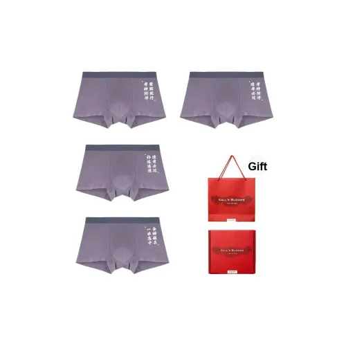 Maiden House Нижнее белье Подарочная коробка Мужской 4 шт