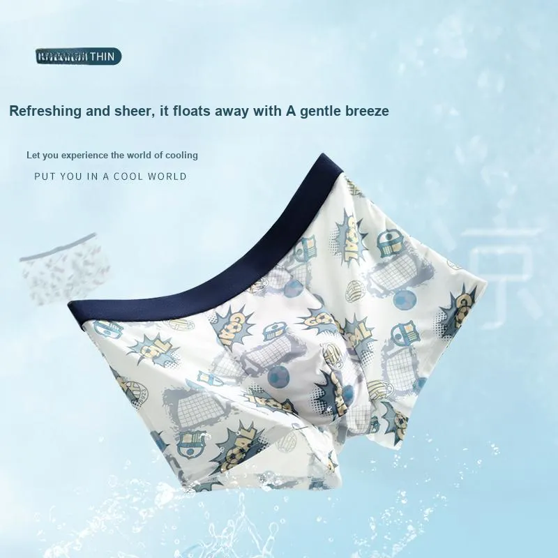 Cotton Gene Underpants Men's 2 Pack-14