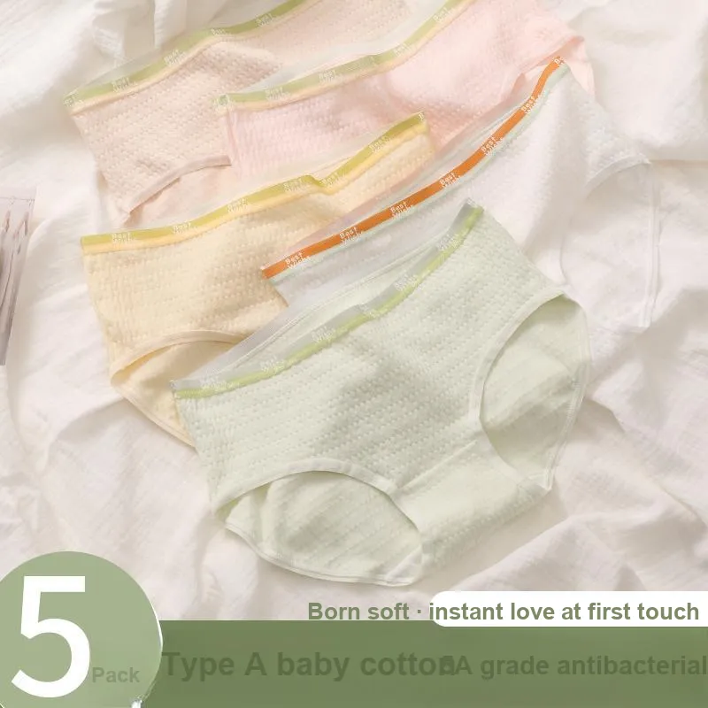 Flowers In Water Underpants Women's 5 Pack-1