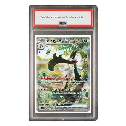Pokemon Graded Cards