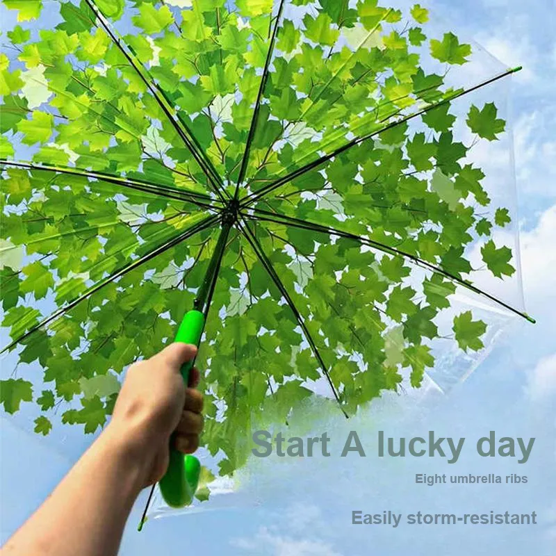 Pleasant language Umbrellas-8