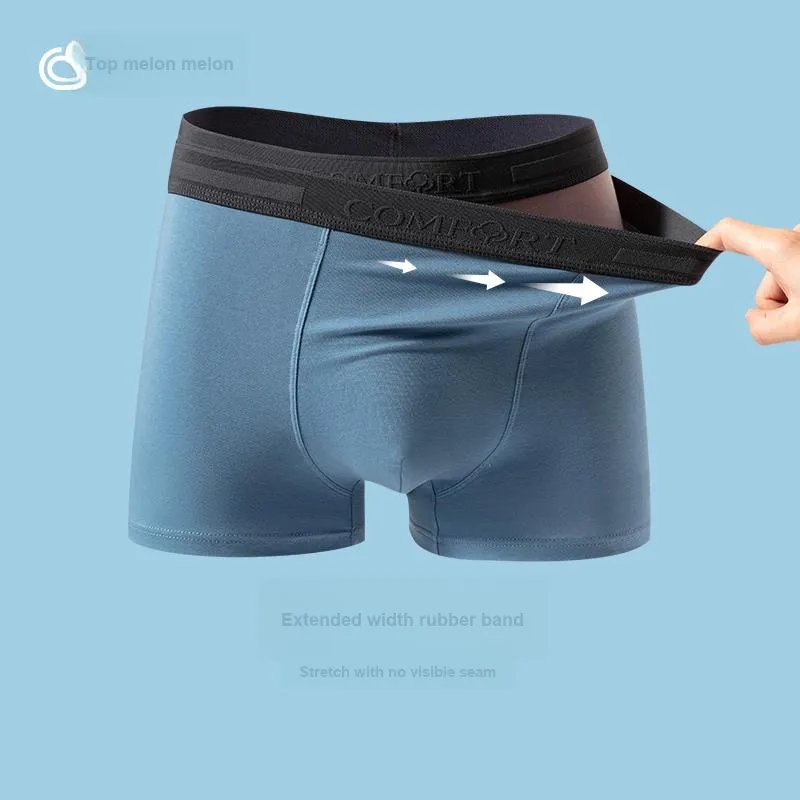 Top Melon Men Underpants-3