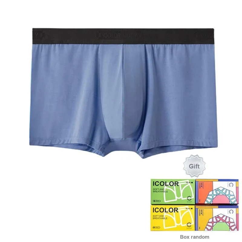 Icolor Men Underpants-2