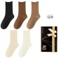 Black, Dark Coffee, Khaki, Beige, Ecru (5 Pack)