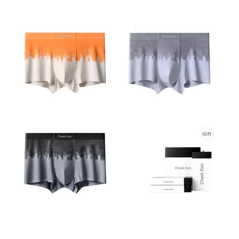 Cheekkiss Underwear Gift Boxes Men's 3 Pack-9