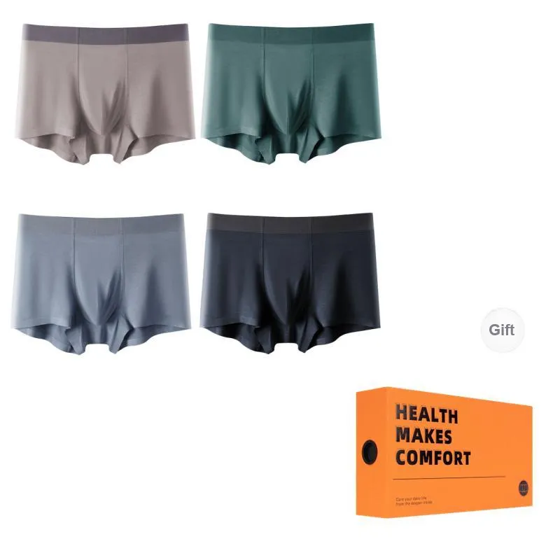 Vine Color Underpants Men's 4 Pack-4