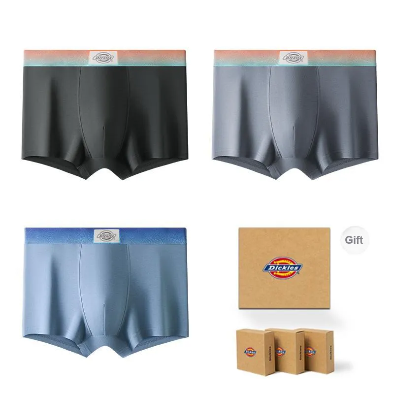 Dickies Underpants Men's Gift Box Combination-27