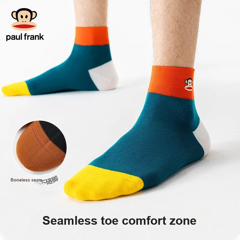 PAUL FRANK Mid Calf Socks Men's Box 5 Pack-3