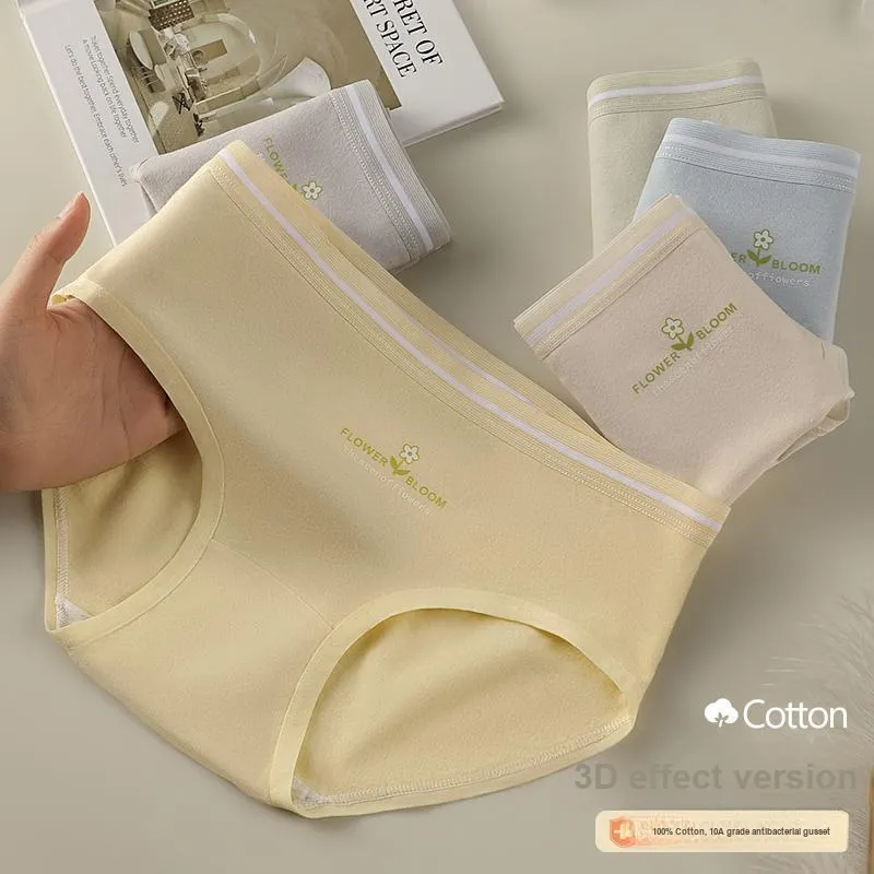 Lan Miao Underpants Women's Combo Set-17