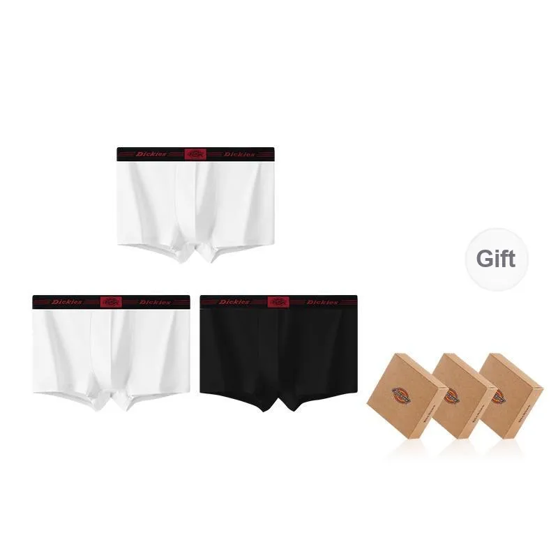 Dickies Underpants Men's Combo Set-30