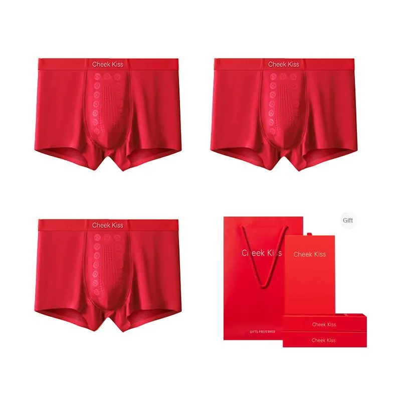 Cheekkiss Underpants Men's Box 3 Pack-1