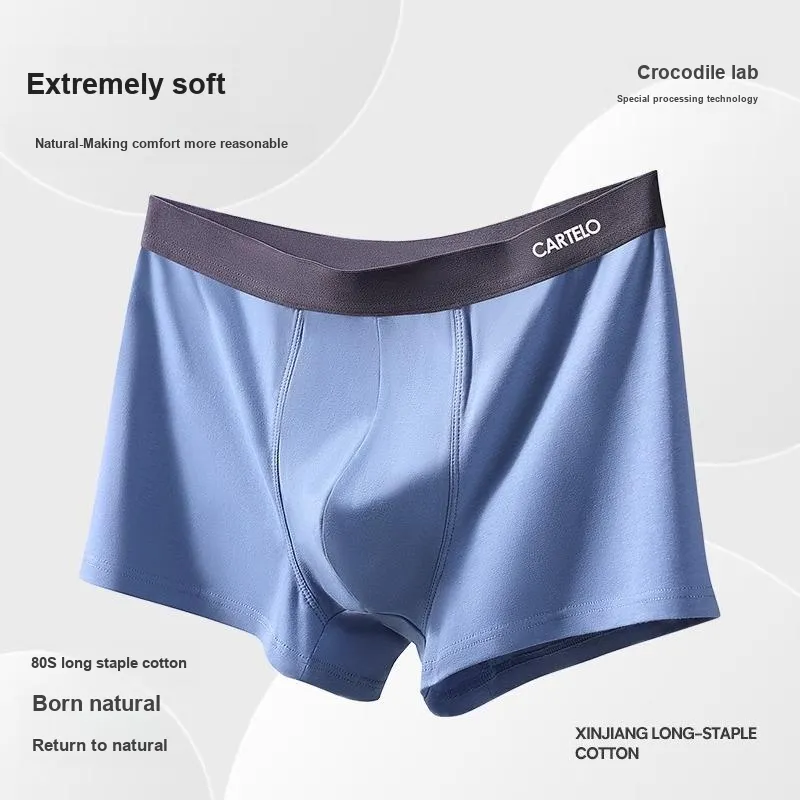 CARTELO Underpants Men's 4 Pack-2