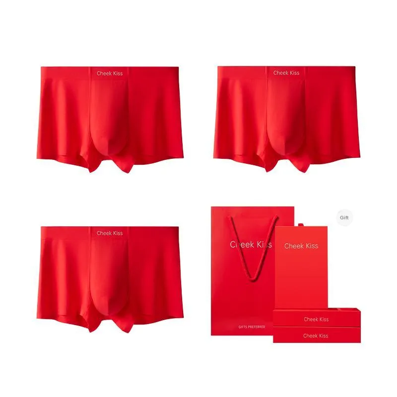 Cheekkiss Underpants Men's Box 3 Pack-17