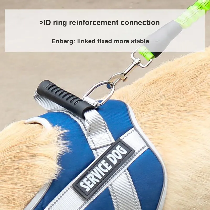 Pampering Leashes-18