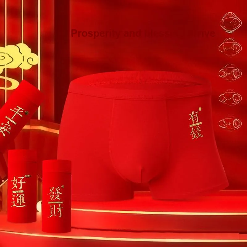 Yalu Men Underpants-2