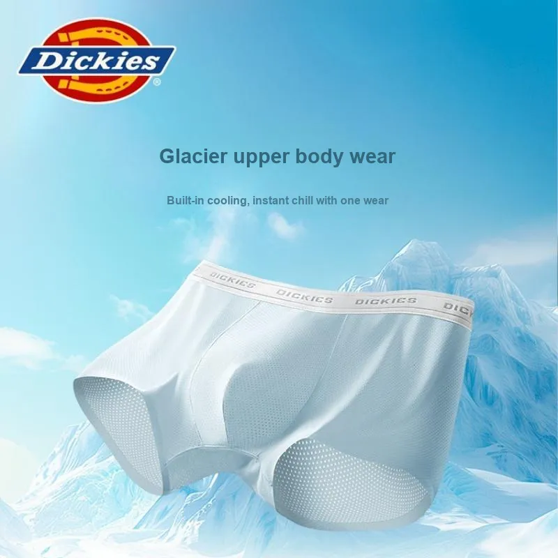 Dickies Underpants Men's 3 Pack-2