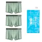 3 Pack (Mist Green)