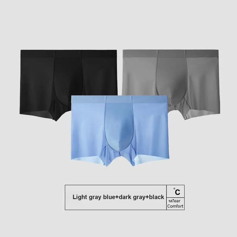 Icolor Men Underpants-9