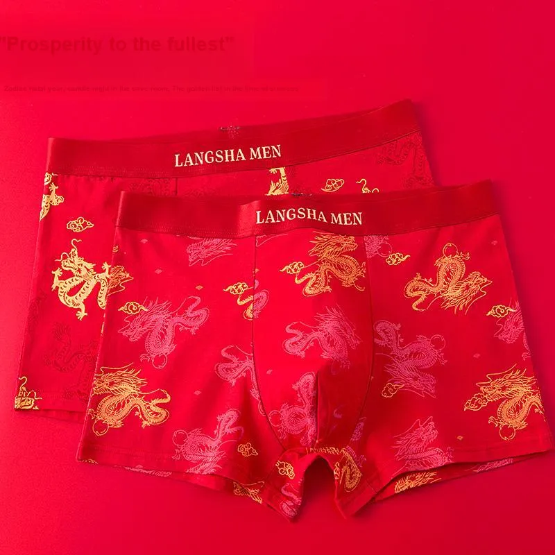 Lanza Men Underpants-8