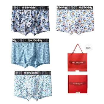 Maiden House Underpants Men's 4 Piece Gift Box Sets