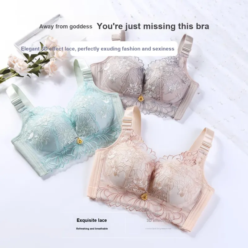 Lanza Women's Bras-12