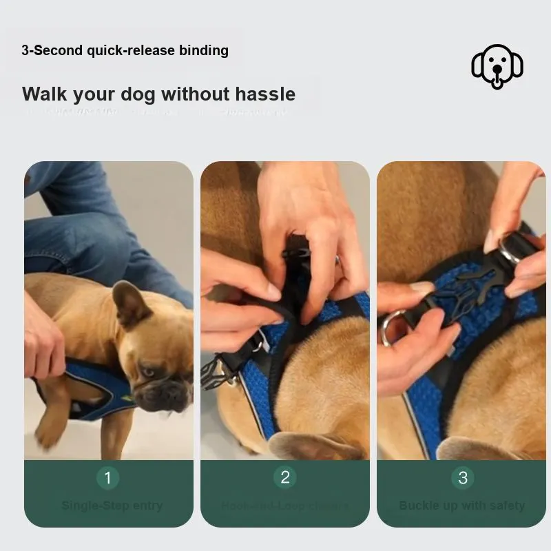 Hunter Leashes-4