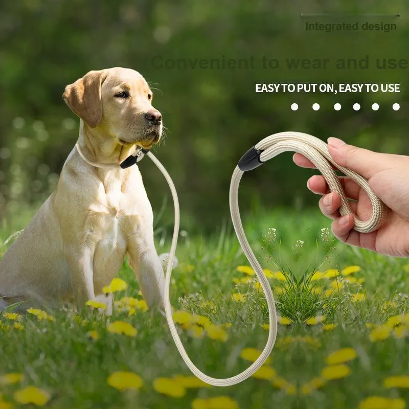 HISTOTREE Leashes-4