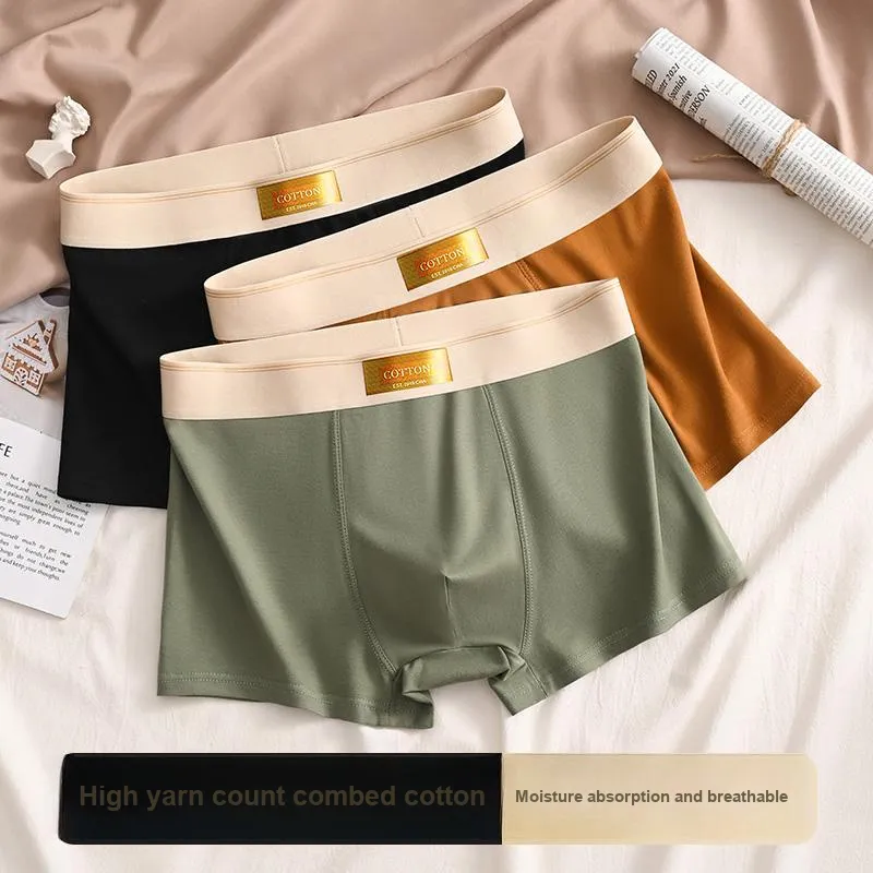 Card Men Underpants-8