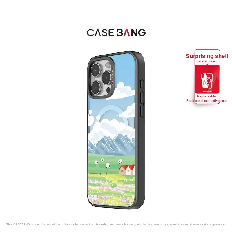CASEBANG Phone Cases-9