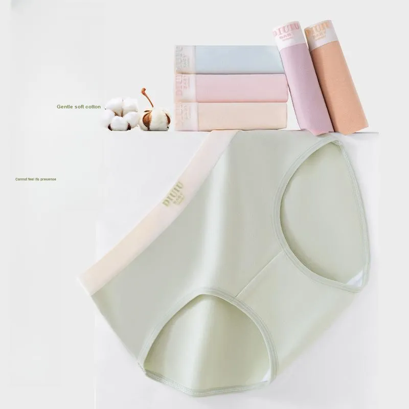 2323 Women's Underpants-4