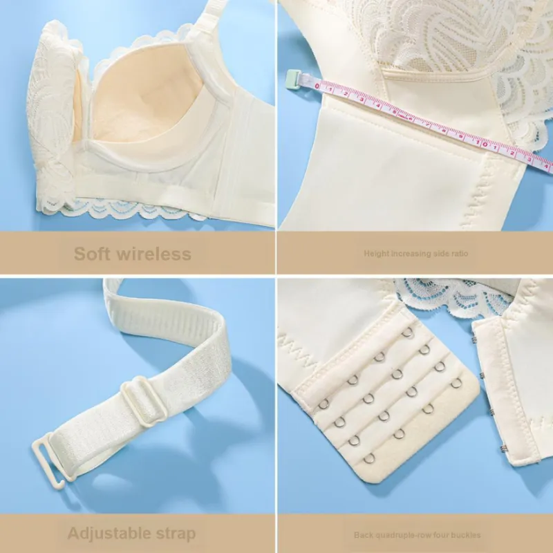 Lanza The Year Of The Dragon Series Bra Women's 2 Pack-124