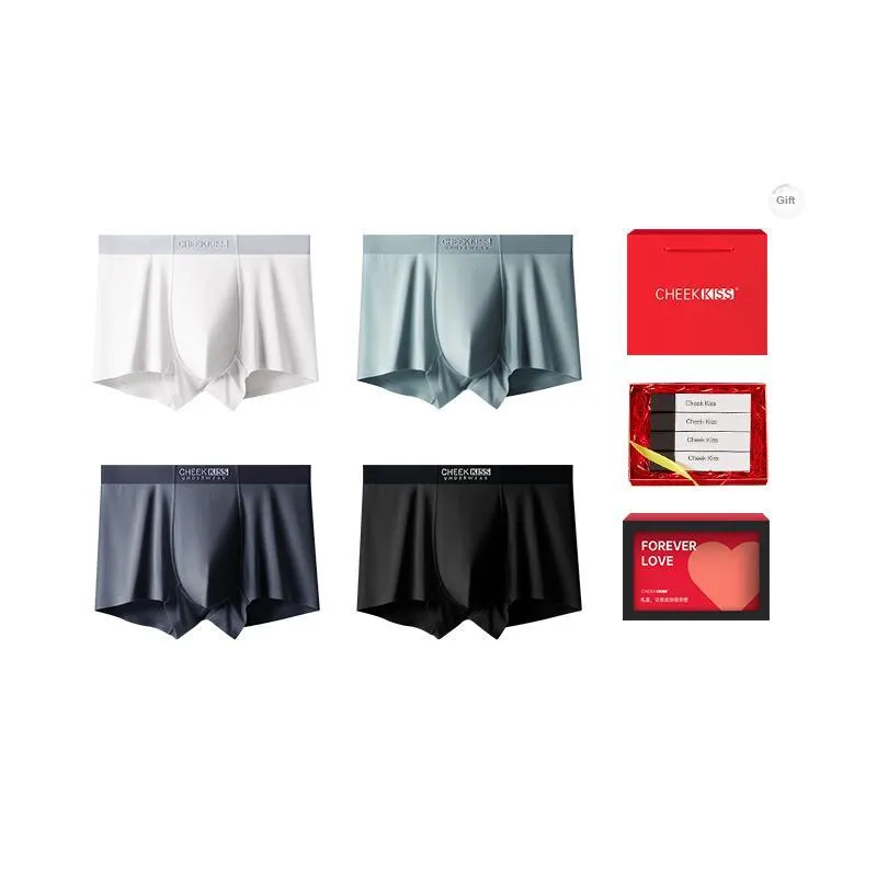 Cheekkiss Underpants Men's 4 Pack-6