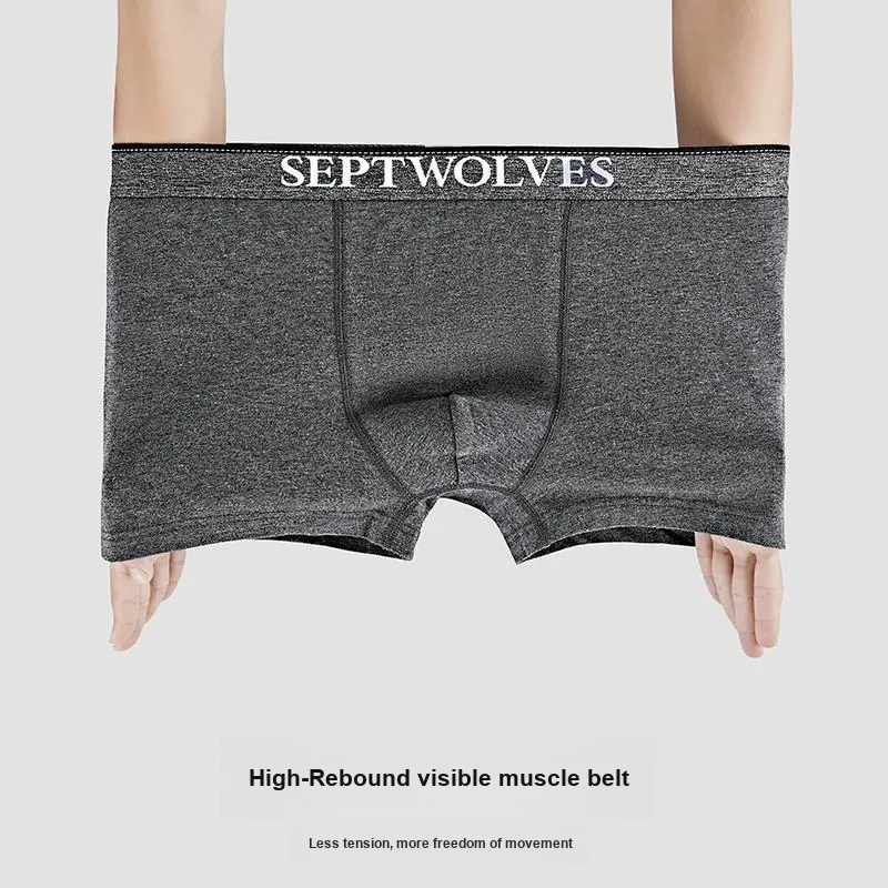 SEPTWOLVES Underwear Men Box 3 Pack-2