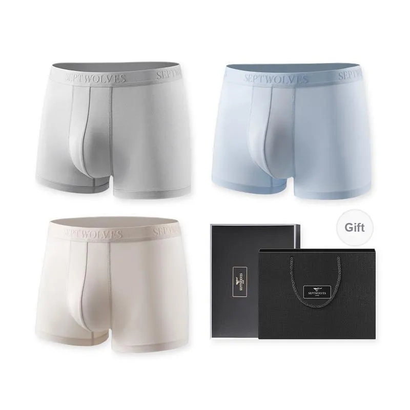 SEPTWOLVES Underpants Men's Box 3 Pack-4