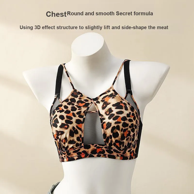 David Women's Bras-4