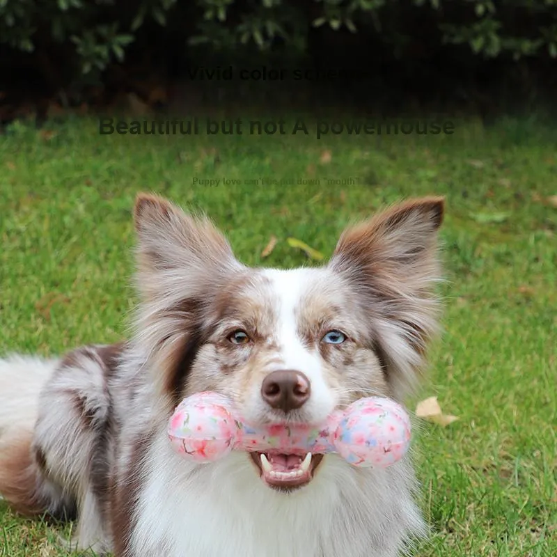 GiGwi Pet Toys-2