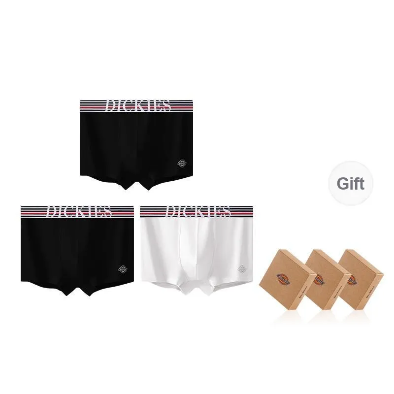 Dickies Underpants Men's Combo Set-42