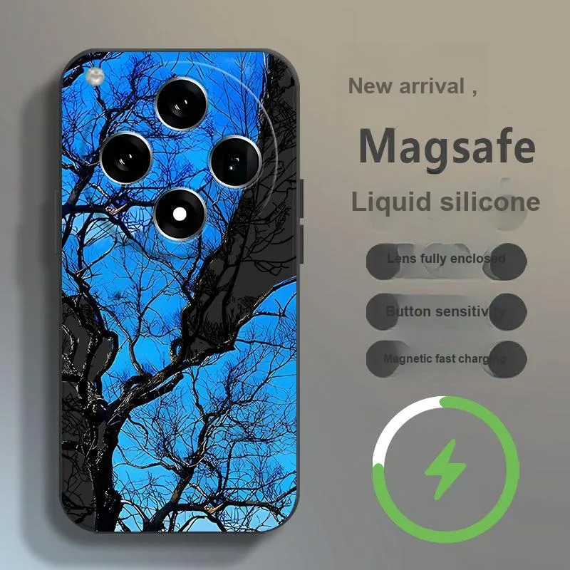 Baochengbao Phone Cases-13