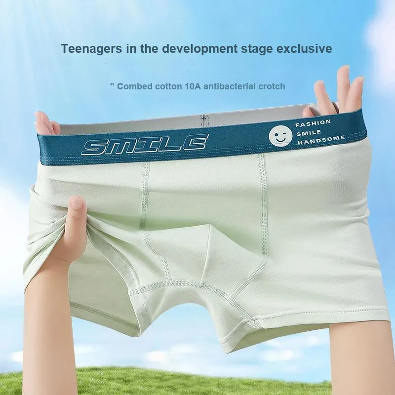 Herbal Primer Underpants Men's 4 Pack-9