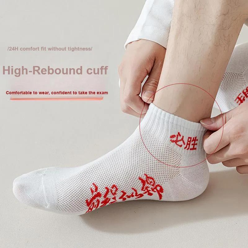 Lan Miao Ankle Socks Men's 10 Pack-9