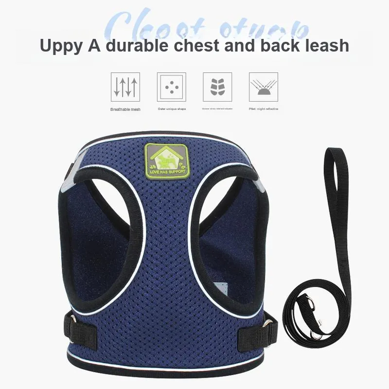 Pampering Leashes-25