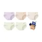 Mist Green+Mist Green+Mist Smoky Purple+Soft Mist Coffee+Light Apricot Skin (5 Pcs Set)