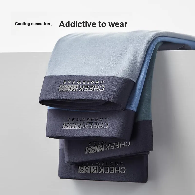 Cheekkiss Underwear Gift Boxes Men's 3 Pack-15