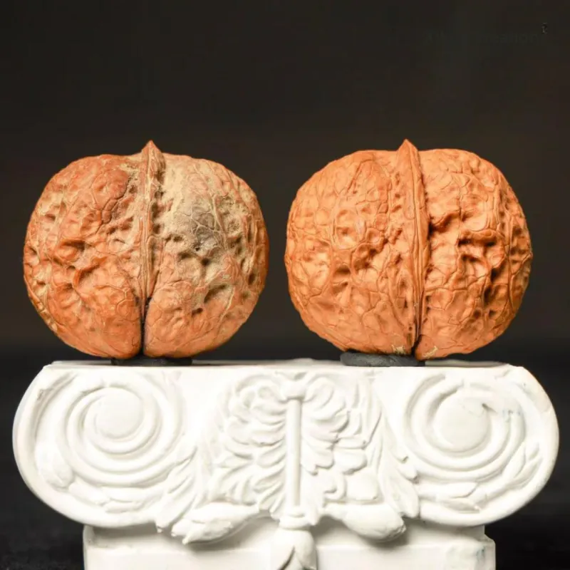 Xihe Core Creation Walnut Fine Handicraft Collectible Unisex-2
