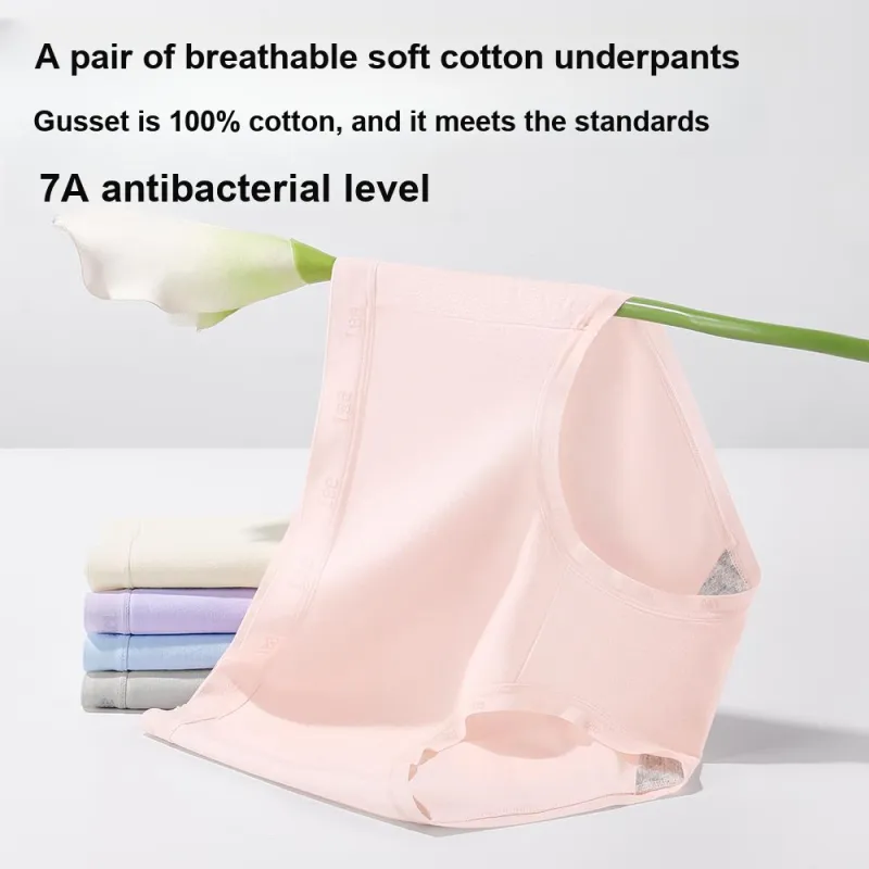Lee Underwear Gift Box Women's 4 Pack-16